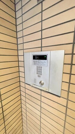 学芸大学駅 徒歩11分 1階の物件内観写真